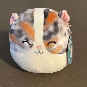 NWT Squishmallow -Pax Cat Plush Toy 8”